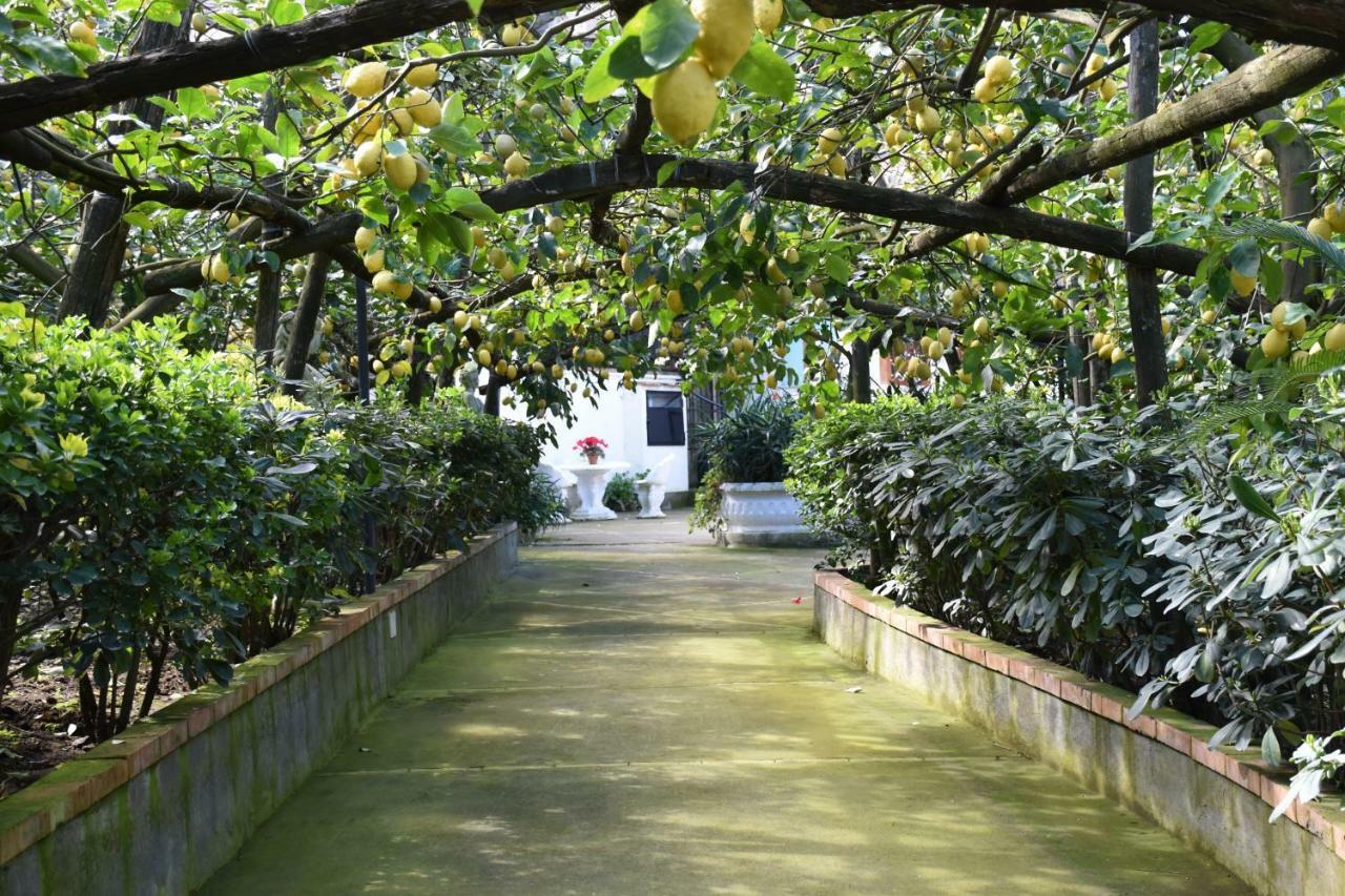 마사루브렌세 De Gregorio 아파트 외부 사진