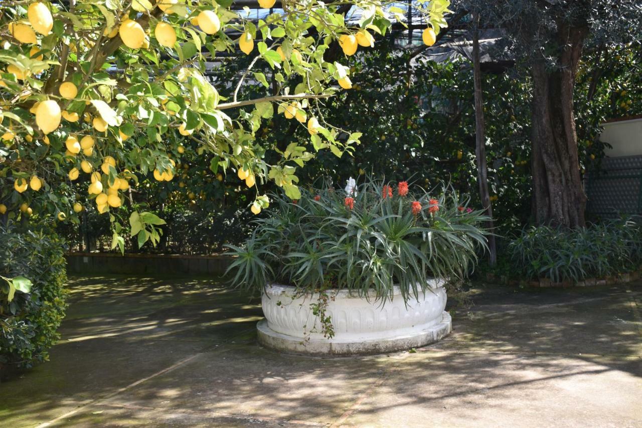 마사루브렌세 De Gregorio 아파트 외부 사진